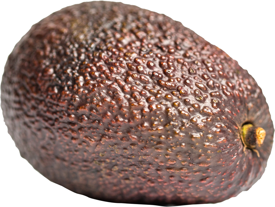 Close Up Avocado Skin Texture PNG image