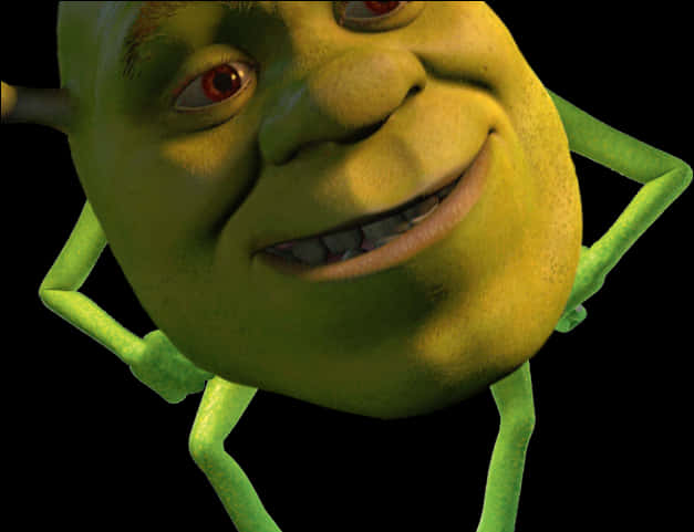 Close Up Smiling Shrek PNG image