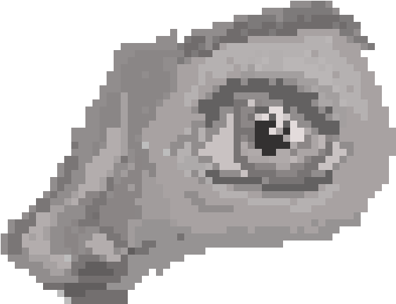 Closeup Chameleon Eye Pixel Art PNG image