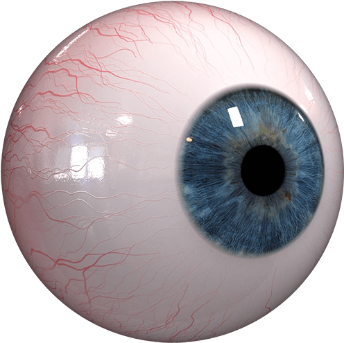 Closeup Human Eye Detail PNG image