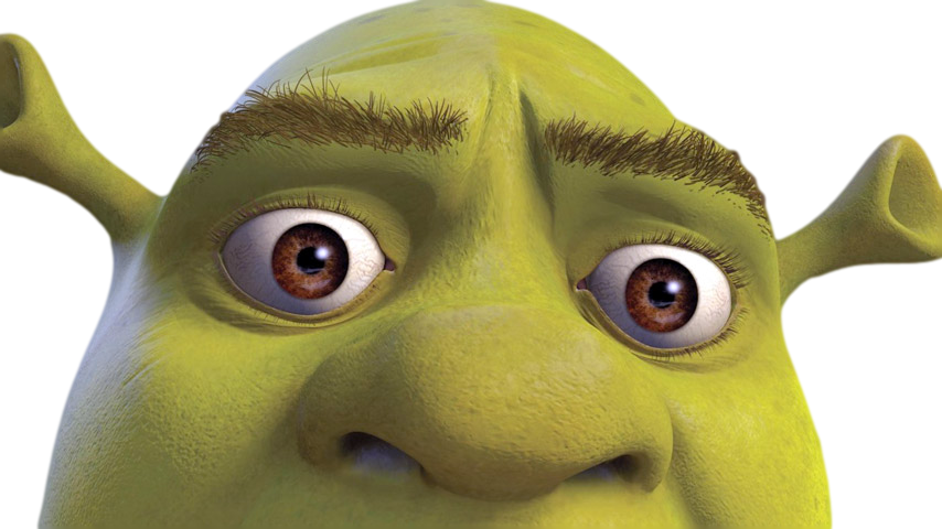 Closeupof Shrek Face PNG image
