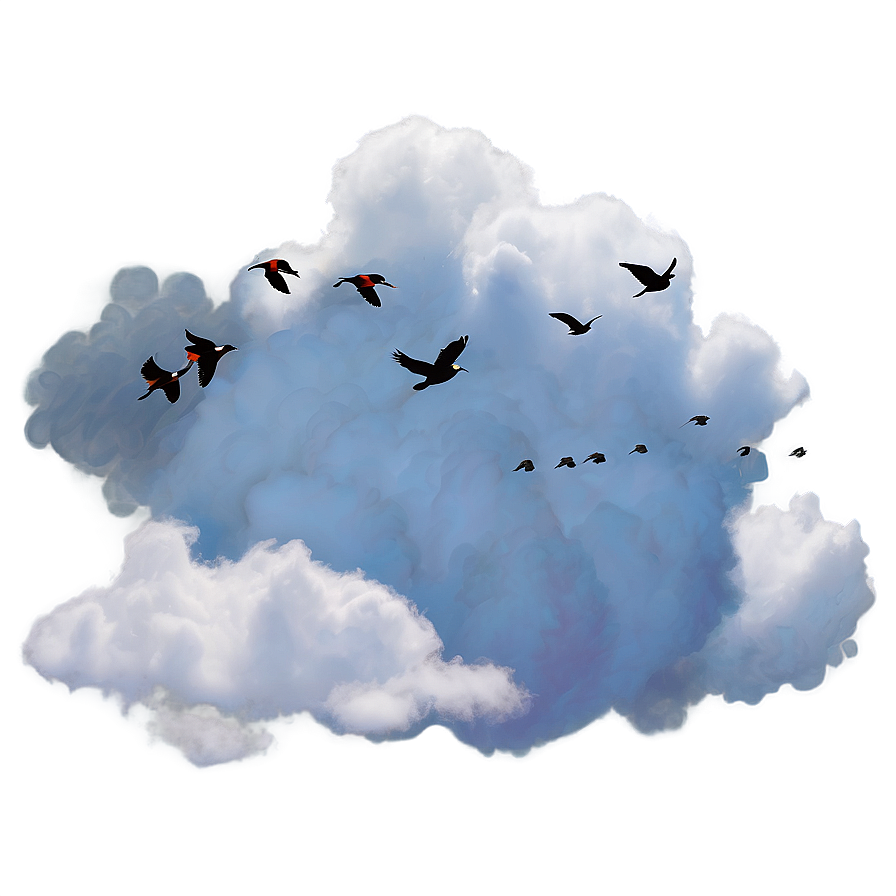 Clouds With Birds Png 46 PNG image