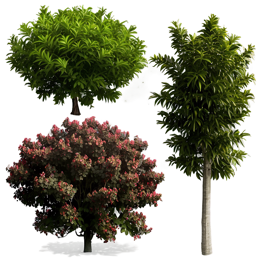 Coastal Defense Shrubs Png 39 PNG image