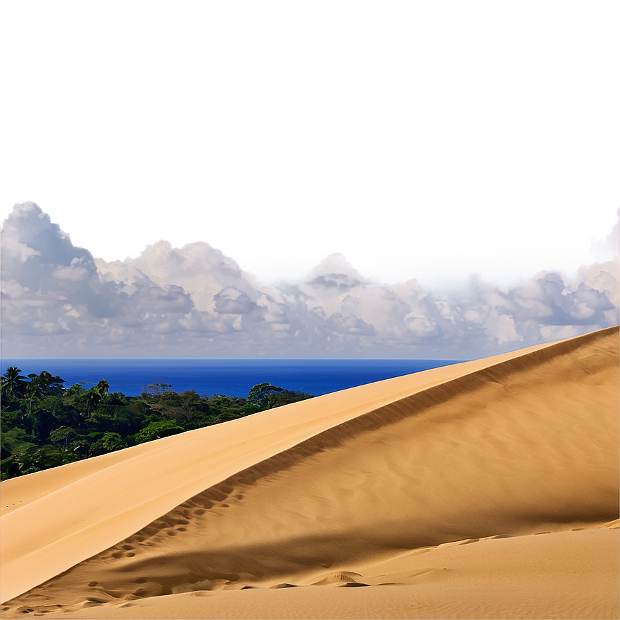 Coastal Sand Dunes Png 06292024 PNG image