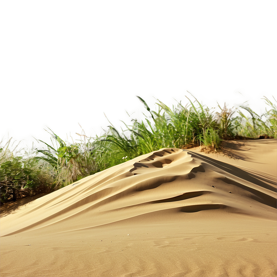 Coastal Sand Dunes Png 81 PNG image