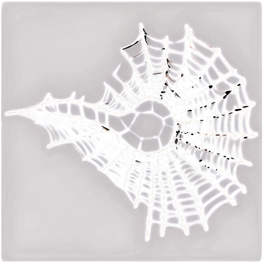 Cobweb Design Png 06132024 PNG image