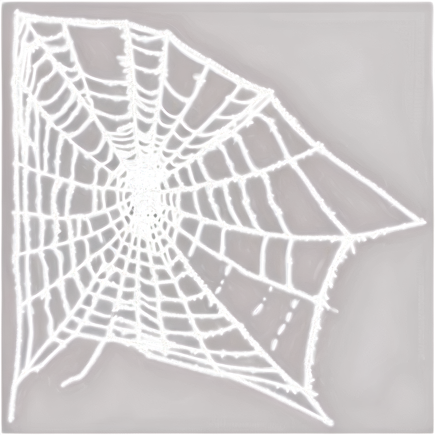 Cobweb Overlay Png 21 PNG image