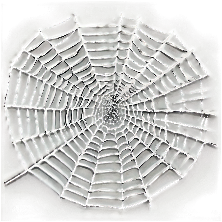 Cobweb With Spiders Png 06132024 PNG image