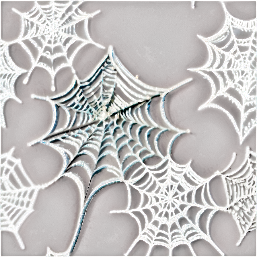 Cobwebs D PNG image