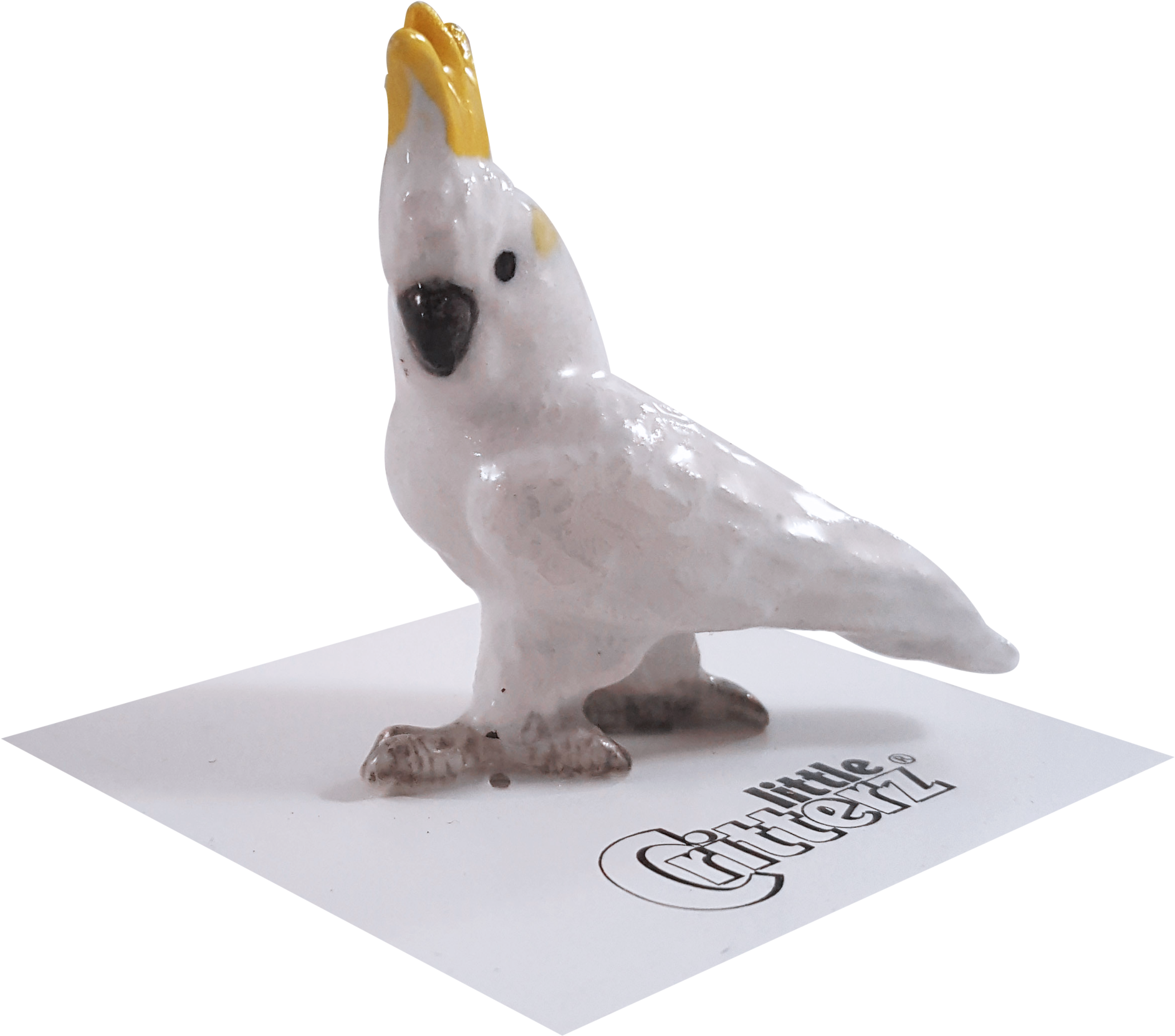 Cockatoo Figurineon Display PNG image