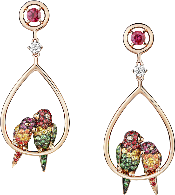Cockatoo Gemstone Earrings PNG image