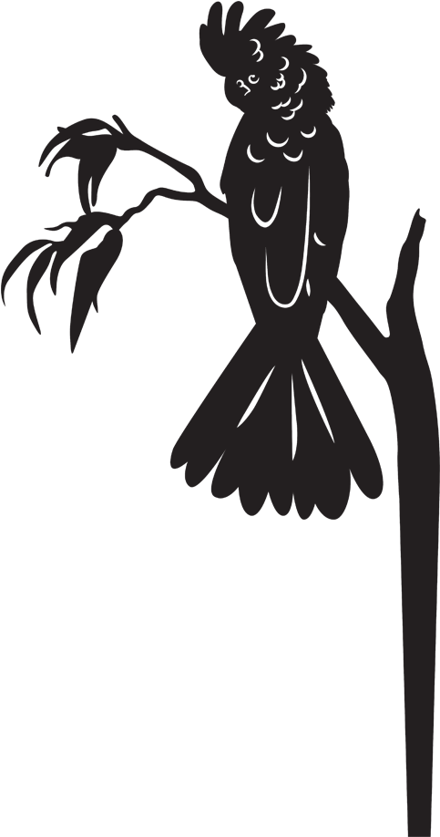 Cockatoo Silhouetteon Branch PNG image
