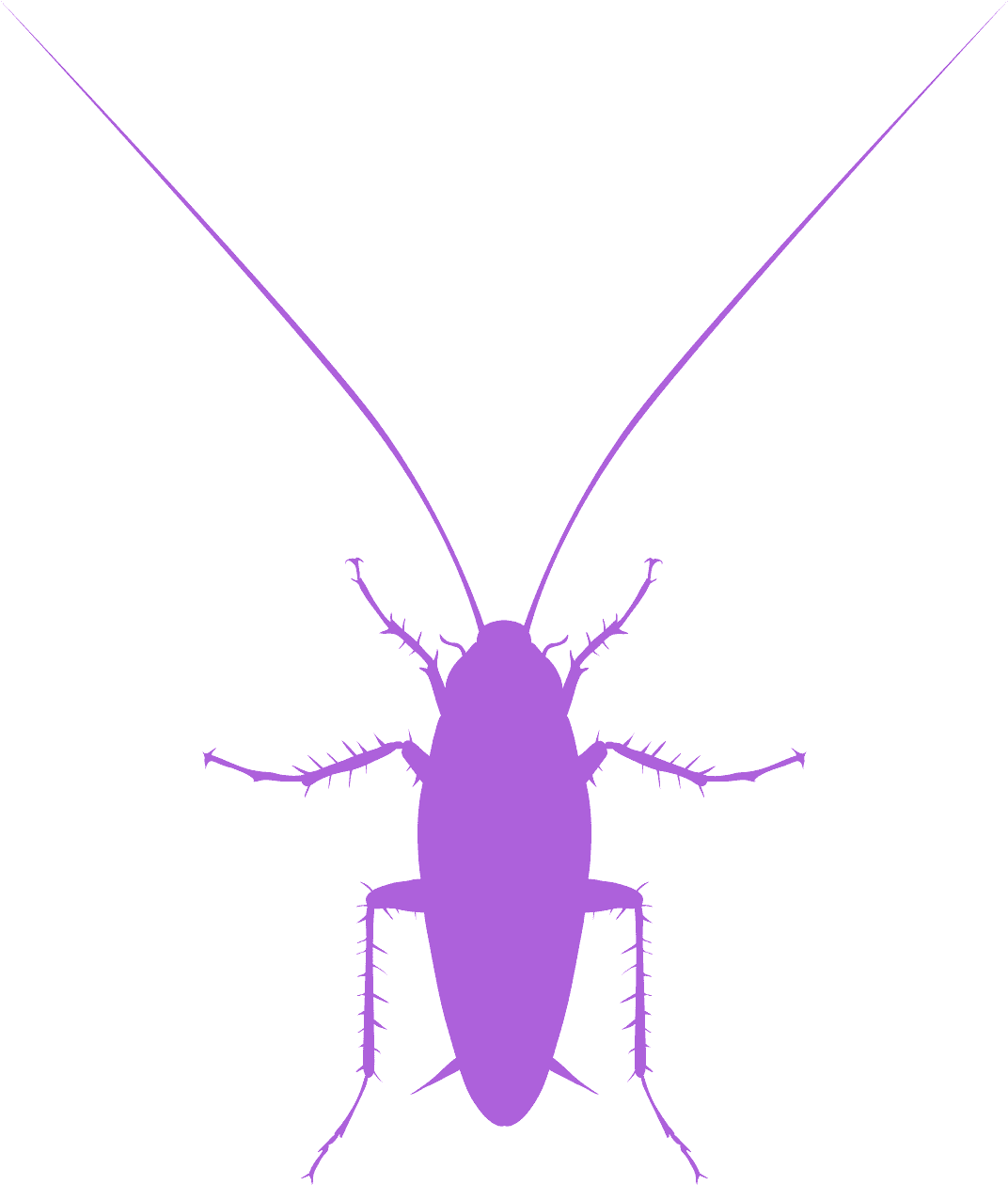 Cockroach Silhouette Graphic PNG image