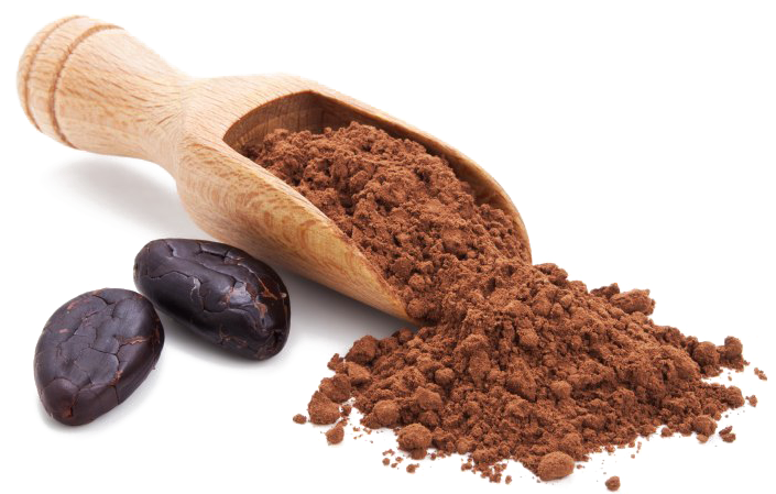 Cocoa Beansand Powder PNG image