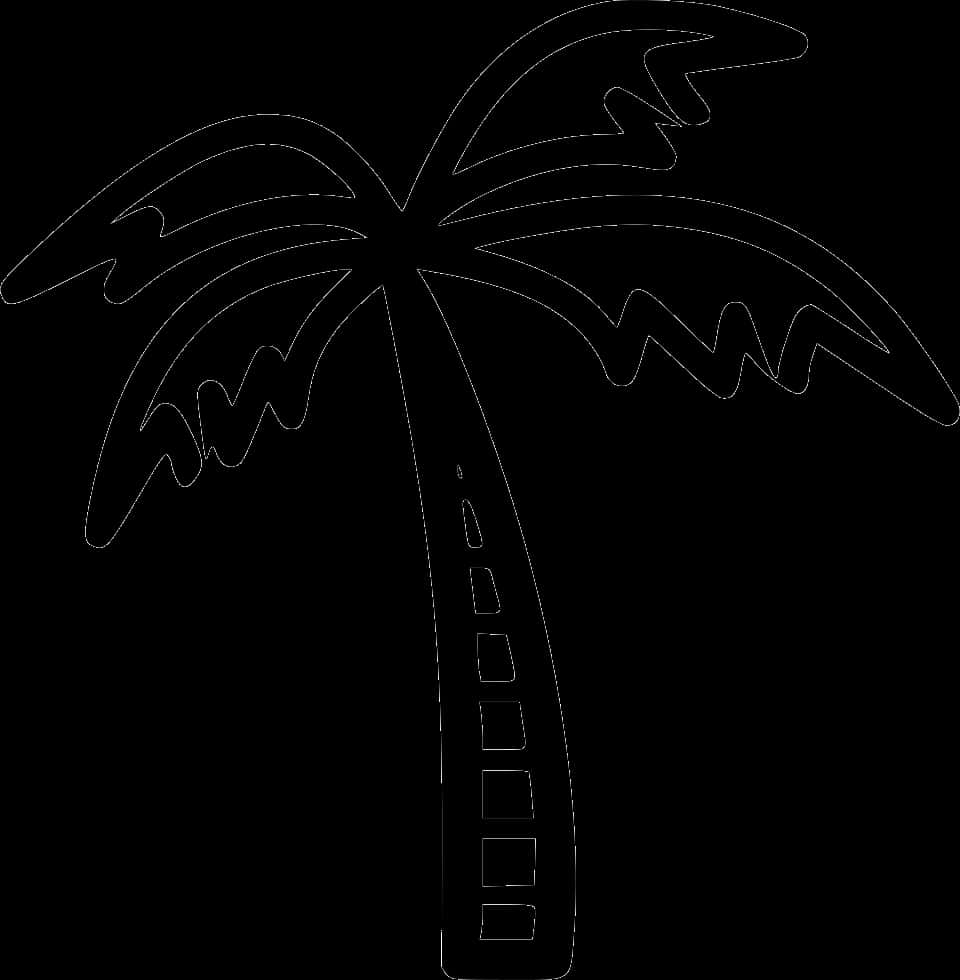 Coconut Tree Line Art PNG image