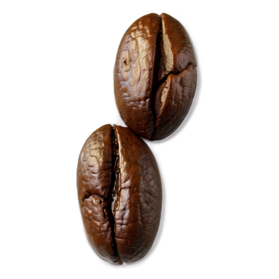 Coffee Bean Closeup Png Dgq PNG image