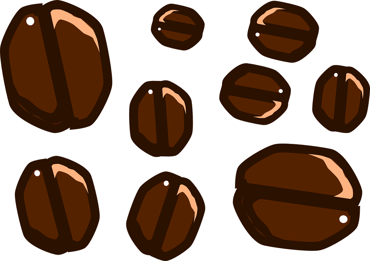 Coffee Beans Illustration PNG image