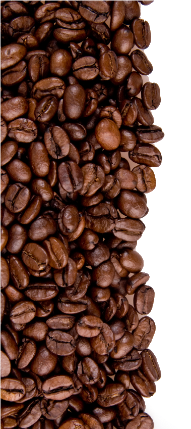 Coffee Beans Texture Background PNG image