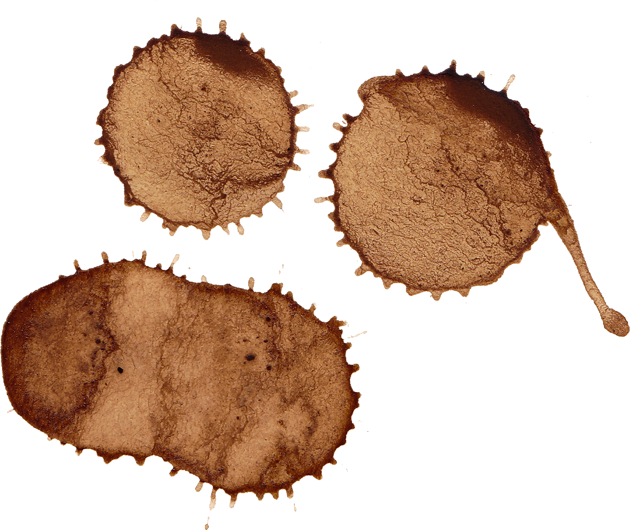 Coffee Stain Trio.png PNG image