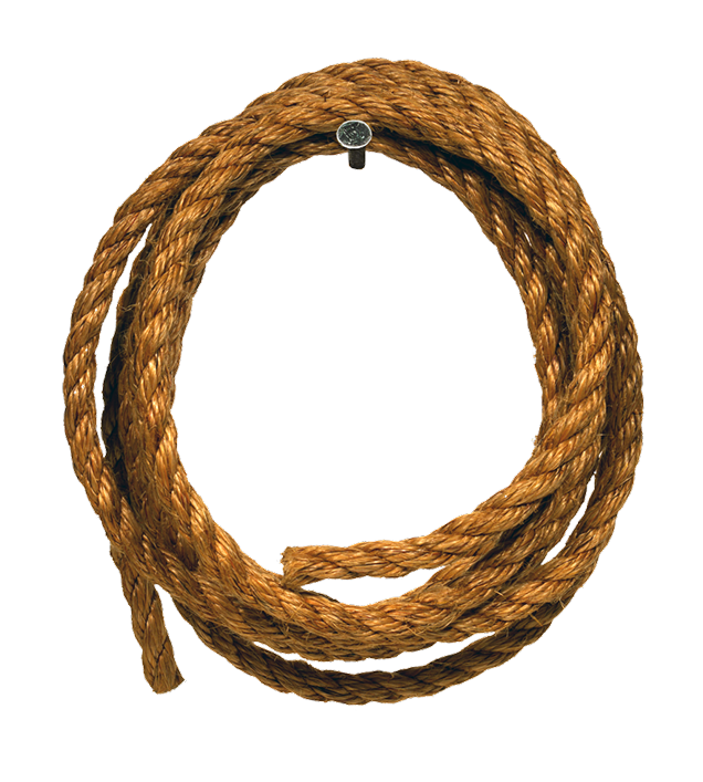 Coiled Lassoon Black Background PNG image