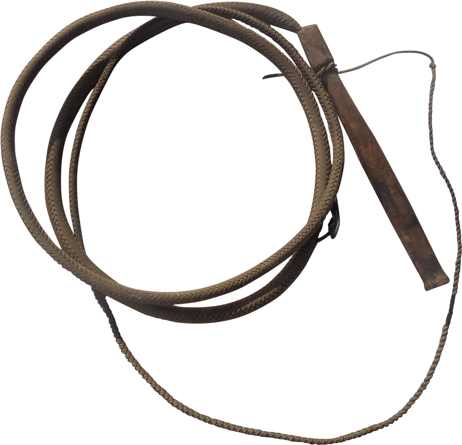 Coiled Leather Whip PNG image