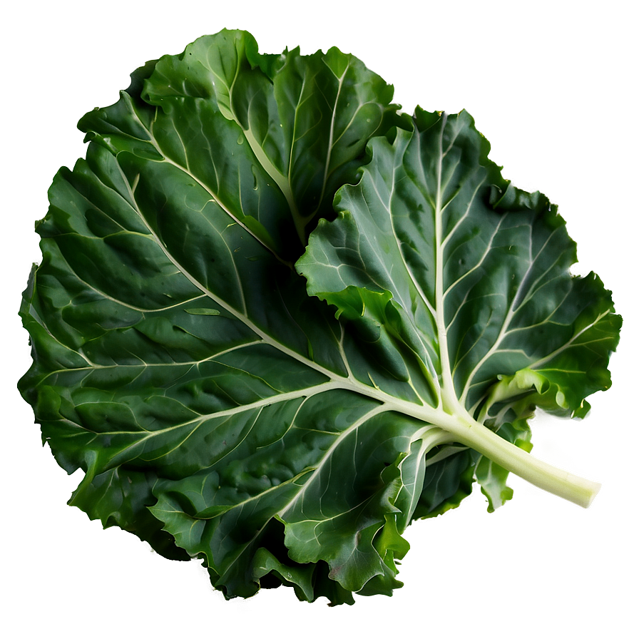 Collard Greens D PNG image