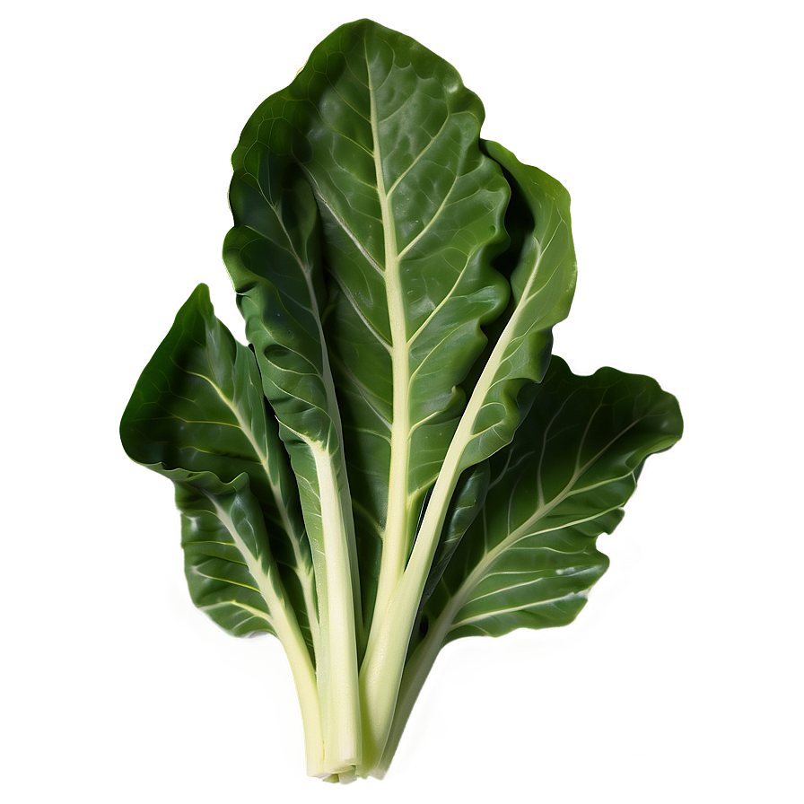 Collard Greens Icon Png Exp97 PNG image