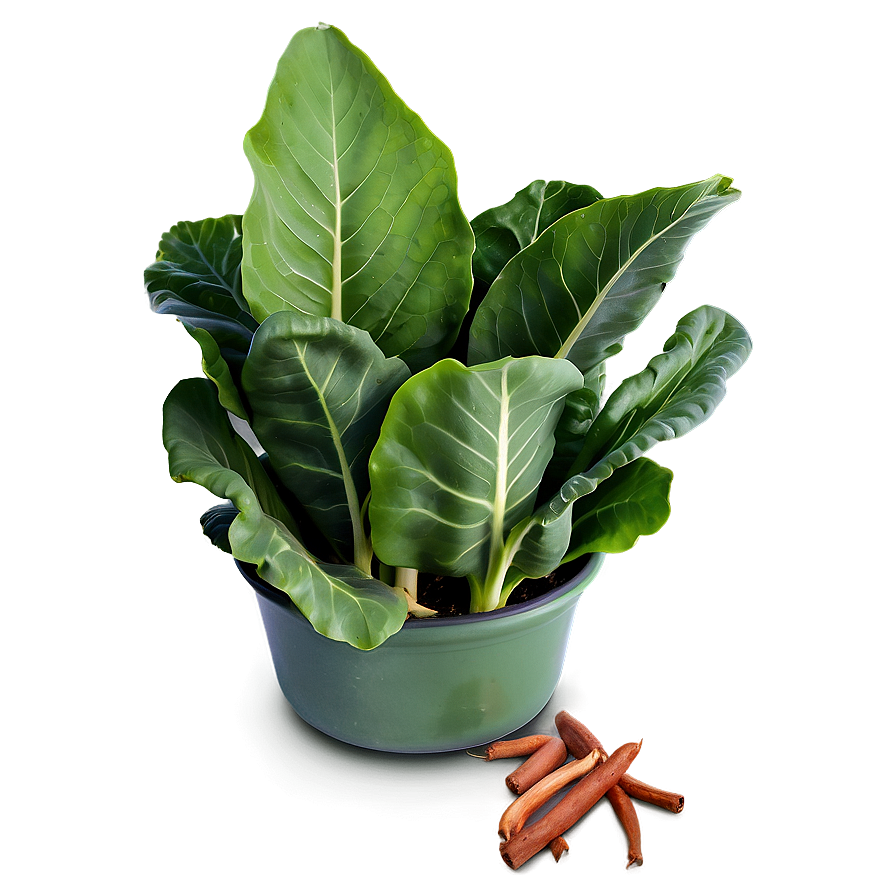 Collard Greens In Pot Png 06252024 PNG image