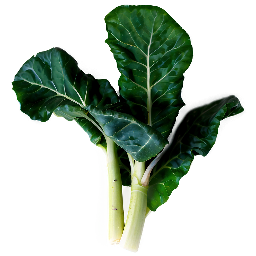 Collard Greens Leaves Png Wox86 PNG image