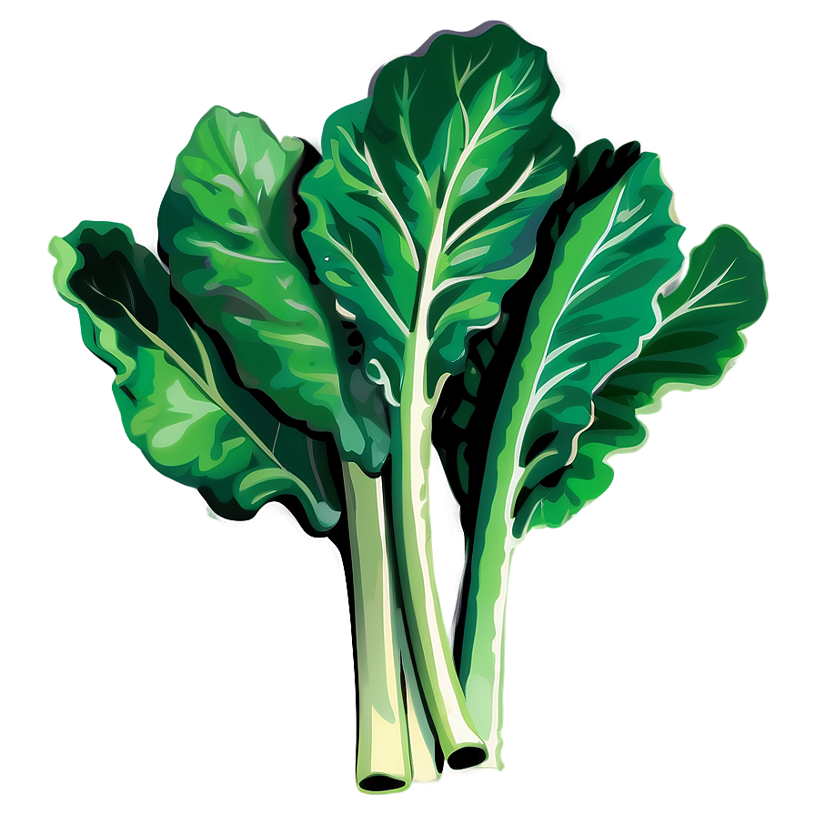 Collard Greens Vector Png 96 PNG image