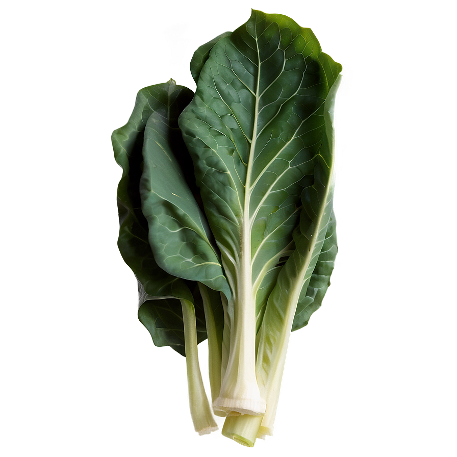 Collard Greens Vector Png Nls PNG image