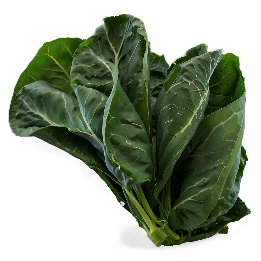 Collard Greens With Peppers Png 41 PNG image