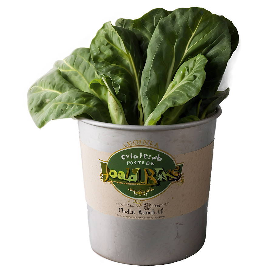 Collard Greens With Potatoes Png 06252024 PNG image