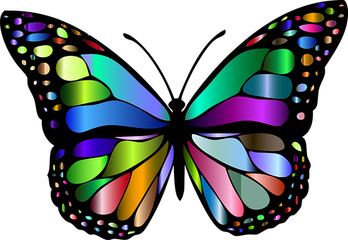 Colorful Abstract Butterfly PNG image