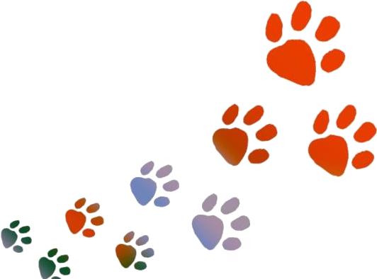 Colorful Animal Paw Prints PNG image