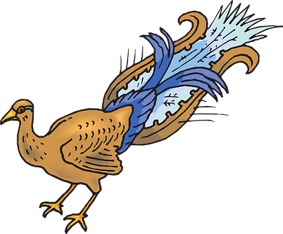 Colorful Animated Bird Illustration PNG image