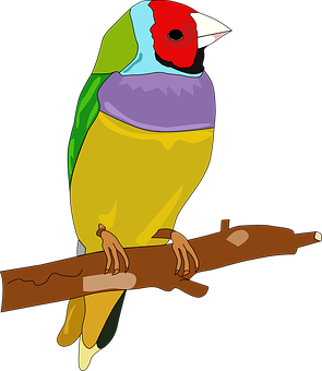 Colorful Animated Bird Perchedon Branch PNG image