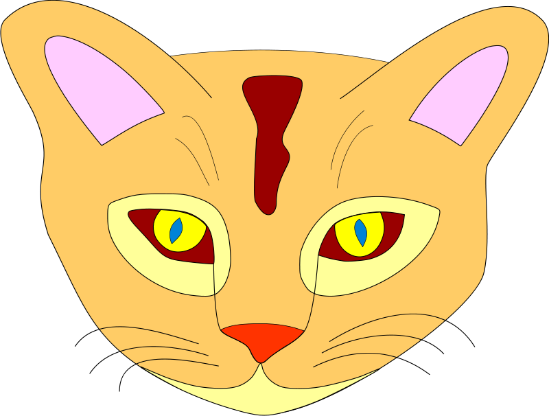 Colorful Animated Cat Face PNG image