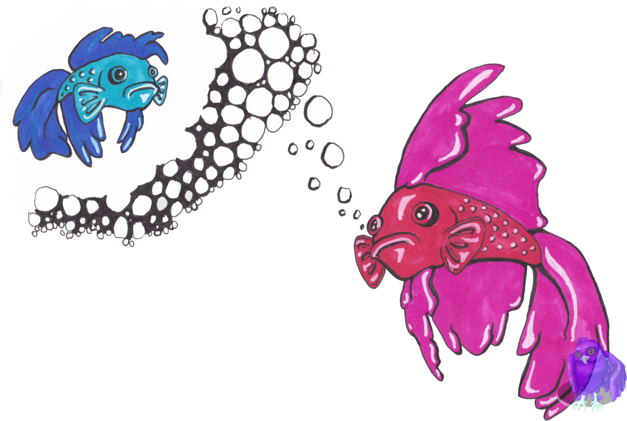 Colorful Betta Fish Artwork PNG image