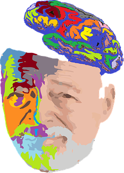 Colorful Brain Silhouette Portrait PNG image