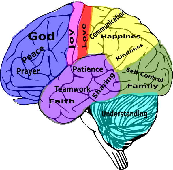 Colorful Brain Values Illustration PNG image