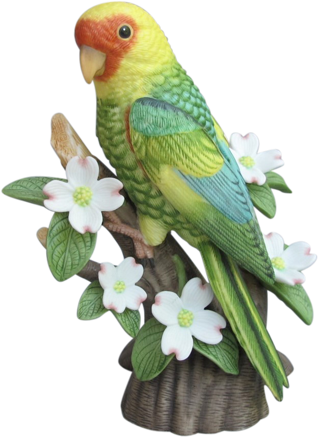 Colorful Budgie On Floral Perch.png PNG image