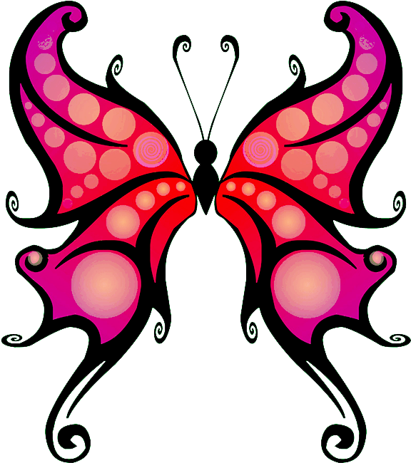 Colorful Butterfly Graphic PNG image