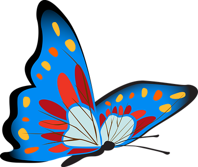 Colorful Butterfly Illustration PNG image