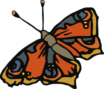 Colorful Butterfly Illustration PNG image