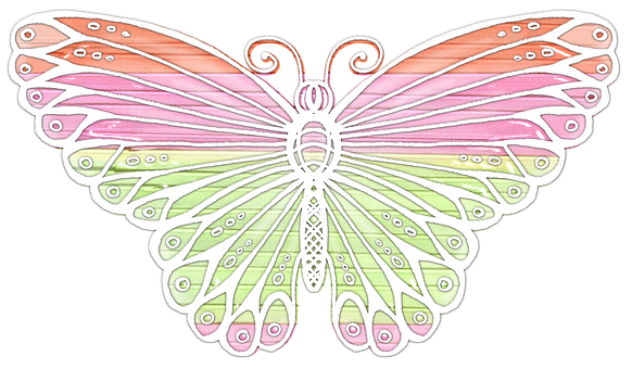 Colorful Butterfly Illustration PNG image