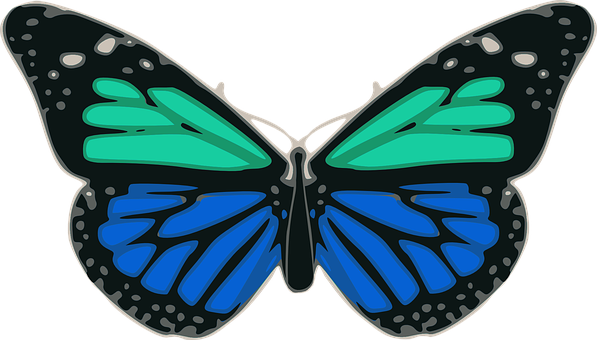 Colorful Butterfly Illustration PNG image