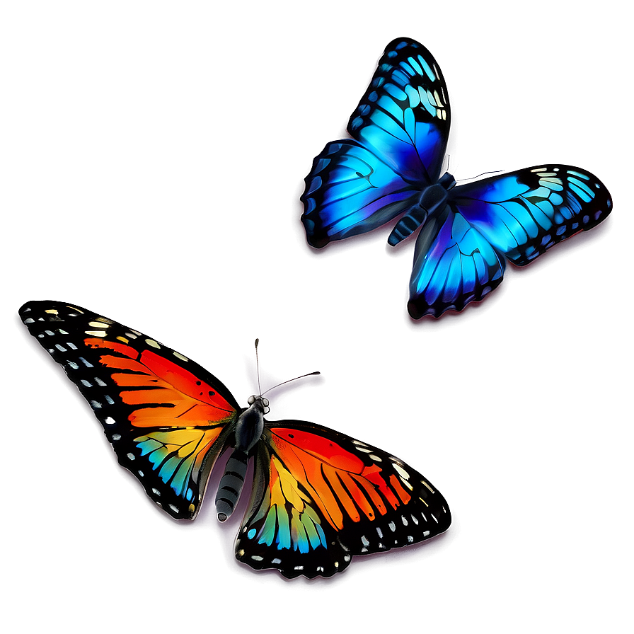 Colorful Butterfly Png 06262024 PNG image