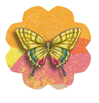 Colorful Butterflyon Flower Illustration PNG image