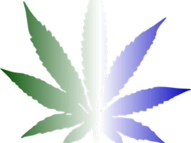 Colorful Cannabis Leaf Graphic PNG image